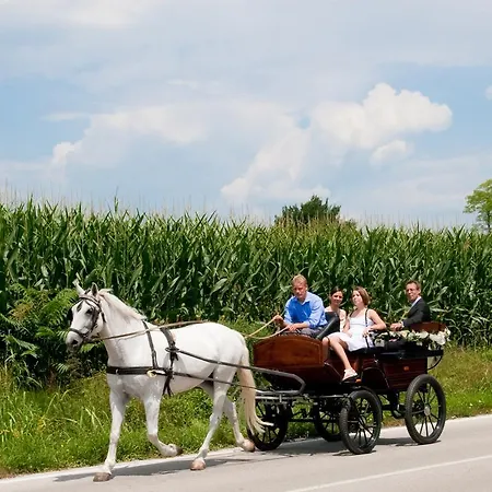 팜스테이 Lataria Dei Magredi