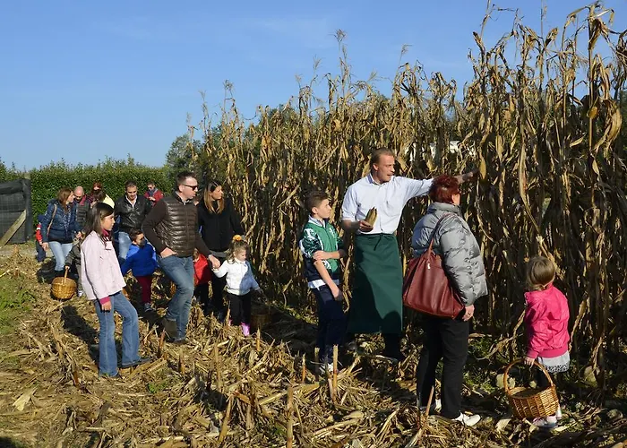 Κατάλυμα σε φάρμα Lataria Dei Magredi Vivaro