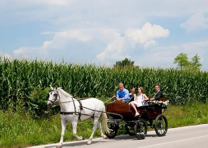 Κατάλυμα σε φάρμα Lataria Dei Magredi