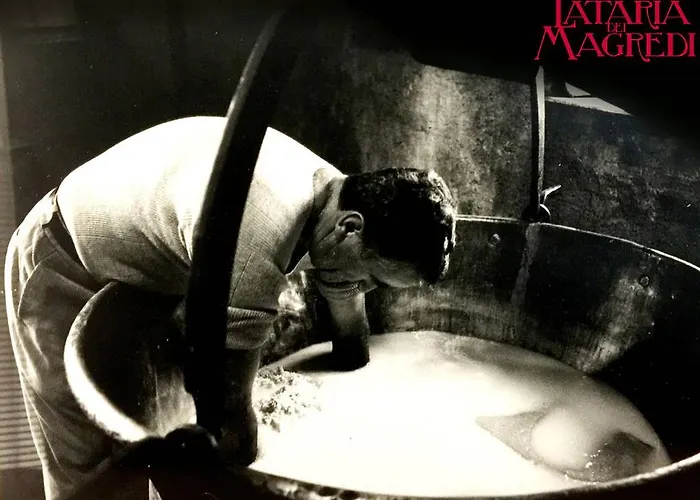 Lataria Dei Magredi * Vivaro